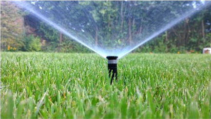 Promoting Water Efficiency