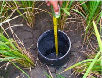 Alternate wetting and drying